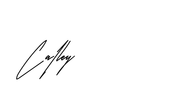 The best way (Andilay-mLmvP) to make a short signature is to pick only two or three words in your name. The name Ceard include a total of six letters. For converting this name. Ceard signature style 2 images and pictures png