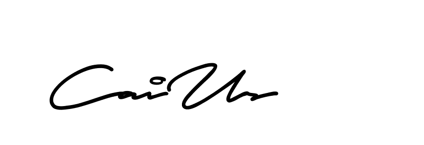 The best way (AristaSignature-K71Pe) to make a short signature is to pick only two or three words in your name. The name Ceard include a total of six letters. For converting this name. Ceard signature style 2 images and pictures png