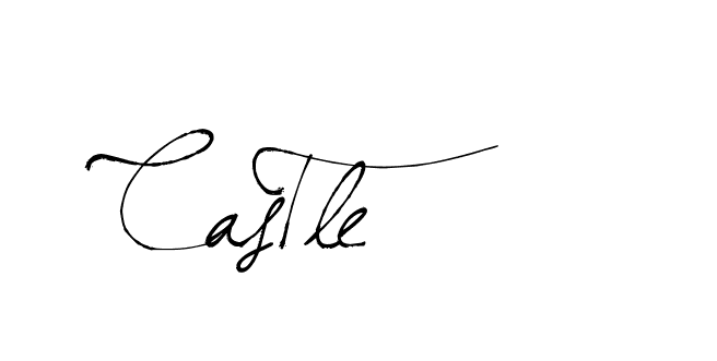 The best way (Arthemis-PKY27) to make a short signature is to pick only two or three words in your name. The name Ceard include a total of six letters. For converting this name. Ceard signature style 2 images and pictures png