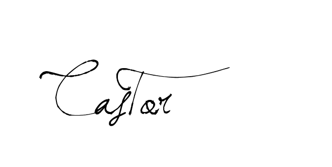 The best way (Arthemis-PKY27) to make a short signature is to pick only two or three words in your name. The name Ceard include a total of six letters. For converting this name. Ceard signature style 2 images and pictures png