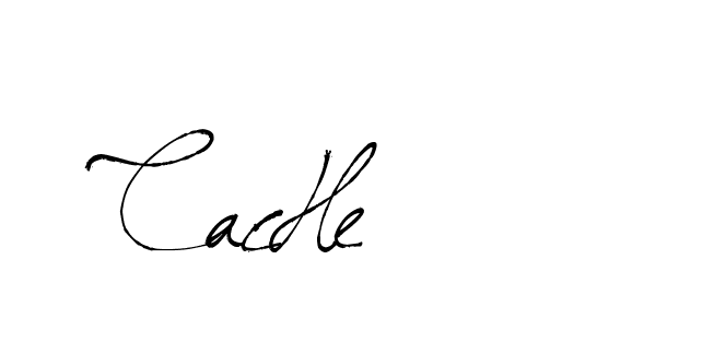 The best way (Arthemis-PKY27) to make a short signature is to pick only two or three words in your name. The name Ceard include a total of six letters. For converting this name. Ceard signature style 2 images and pictures png