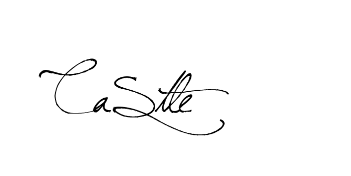 The best way (Arthemis-PKY27) to make a short signature is to pick only two or three words in your name. The name Ceard include a total of six letters. For converting this name. Ceard signature style 2 images and pictures png