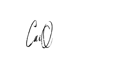 The best way (Buffalosignature-x3xDK) to make a short signature is to pick only two or three words in your name. The name Ceard include a total of six letters. For converting this name. Ceard signature style 2 images and pictures png
