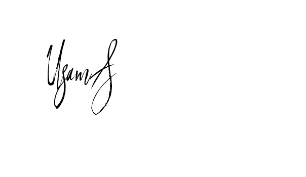 The best way (Buffalosignature-x3xDK) to make a short signature is to pick only two or three words in your name. The name Ceard include a total of six letters. For converting this name. Ceard signature style 2 images and pictures png