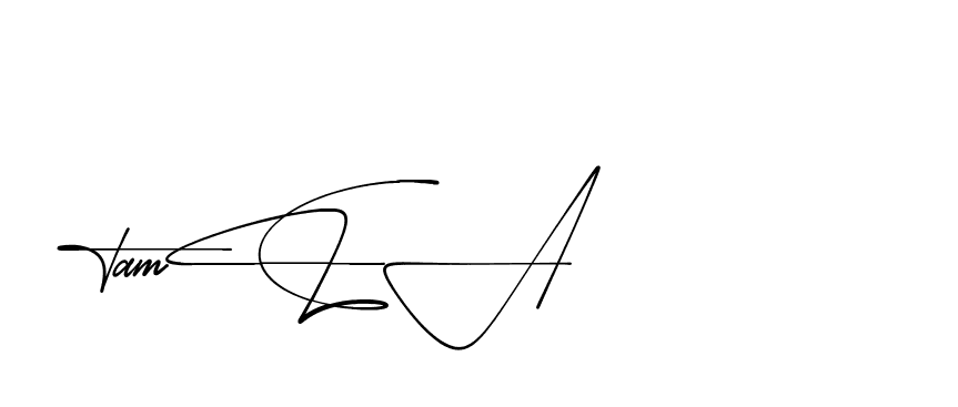 The best way (AishaScript-DO4Xd) to make a short signature is to pick only two or three words in your name. The name Ceard include a total of six letters. For converting this name. Ceard signature style 2 images and pictures png